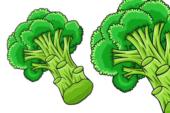 Broccoli Vector Illustration: A Versatile Design Asset