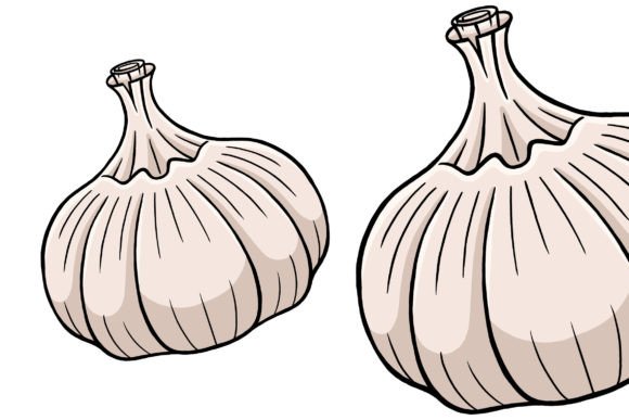 Garlic Vector Illustration: A Versatile Tool for Creative and Professional Projects