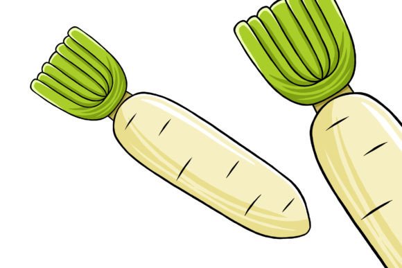 Radish Vector Illustration: A Versatile Tool for Creative Projects