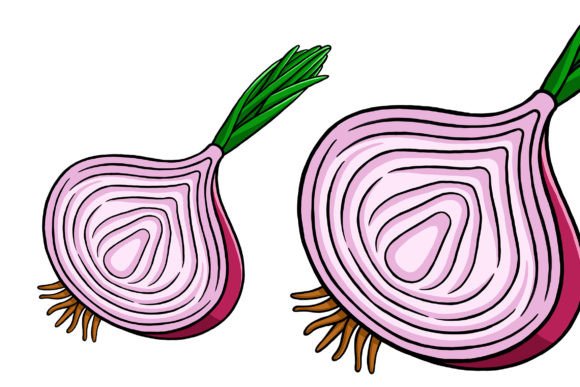 Unlock Creativity with Onion Vector Illustration 01
