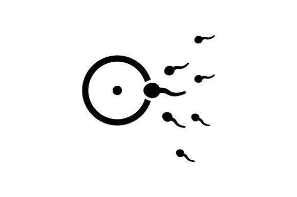 Unlock Creativity with the Human Sperm Icon