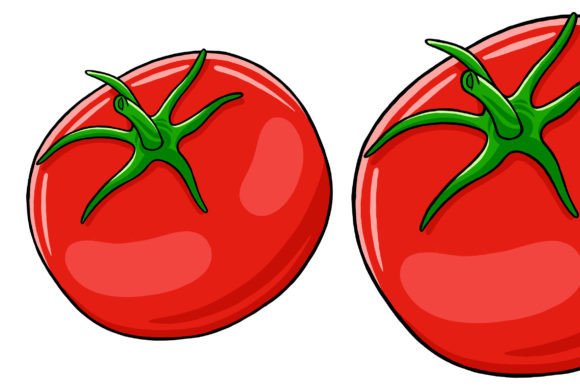 Unlock Creativity with Tomato Vector Illustration
