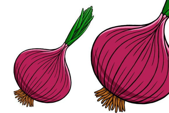 Unlocking Creativity with Onion Vector Illustration 02